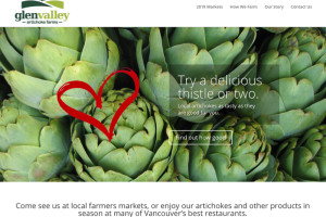 Copywriting for small business website.