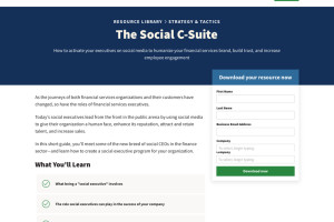 Ebook writing and conversion copywriting for report landing page.