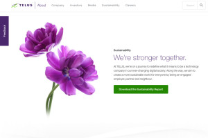 Content strategy and copywriting for new Sustainability website.